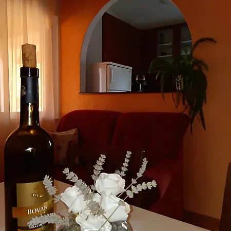 Ljubica Apartment Kampor